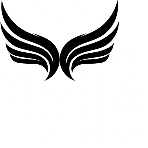 Imperium Services llc